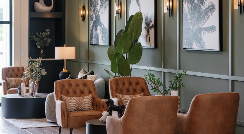 room with four chairs and large plant